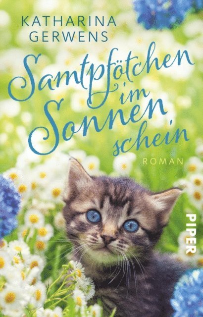 Katharina Gerwens - Samtpfötchen im Sonnenschein, E-bok