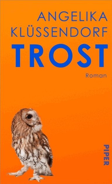 Angelika Klussendorf - Trost, E-bok