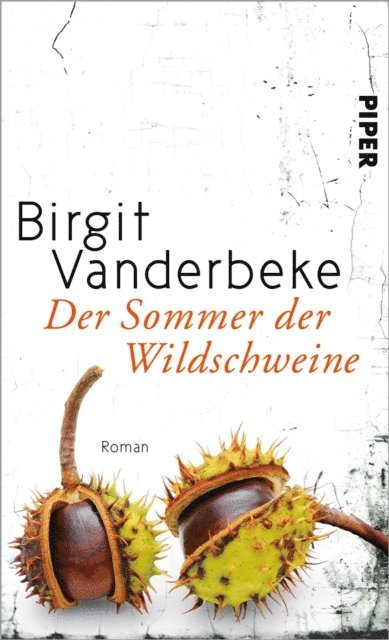 Birgit Vanderbeke - Der Sommer der Wildschweine, E-bok