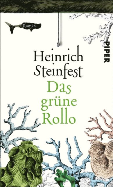 Heinrich Steinfest - Das grüne Rollo, E-bok