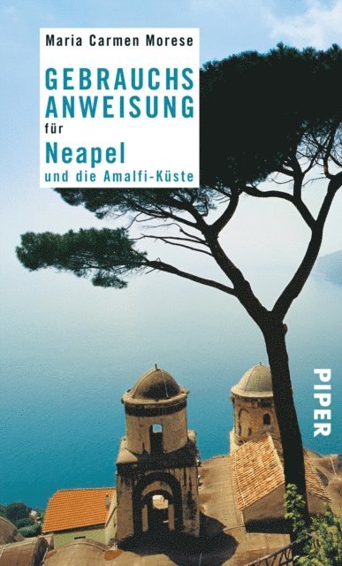 Maria Carmen Morese - Gebrauchsanweisung für Neapel und die Amalfi-Küste, E-bok