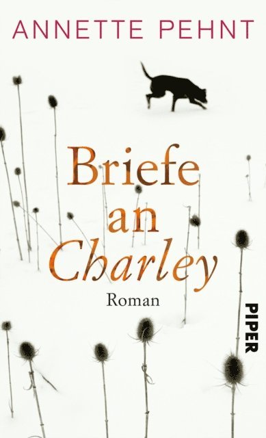 Annette Pehnt - Briefe an Charley, E-bok