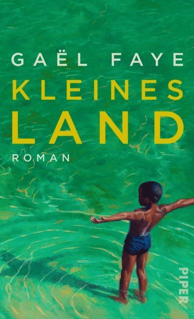 Gael Faye - Kleines Land, E-bok