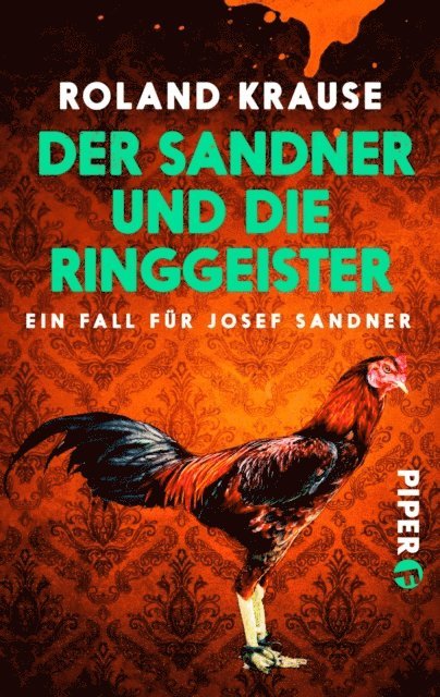 Roland Krause - Der Sandner und die Ringgeister, E-bok