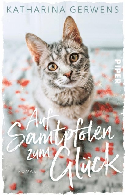 Katharina Gerwens - Auf Samtpfoten zum Glück, E-bok