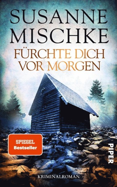 Susanne Mischke - Fürchte dich vor morgen, E-bok