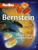 Bernstein