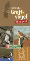 Bestimungskarten Heimische Greifvögel, Övrigt. Tillgänglighet: Lägg i varukorg