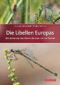 Die Libellen Europas