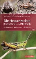 Die Heuschrecken Deutschlands und Nordtirols