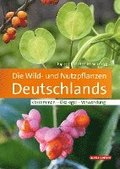 Die Wild- und Nutzpflanzen Deutschlands