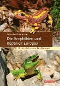 Die Amphibien und Reptilien Europas