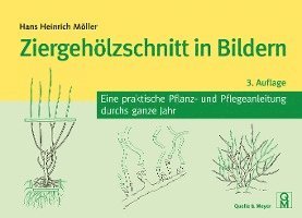 Hans Heinrich Möller - Ziergehölzschnitt in Bildern, Häftad