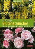Prächtige Blütensträucher