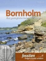 Redaktion Fossilien/Quelle & Meyer Verlag - Bornholm, Häftad