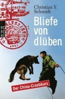 Christian Y. Schmidt - Bliefe von dlüben, Häftad
