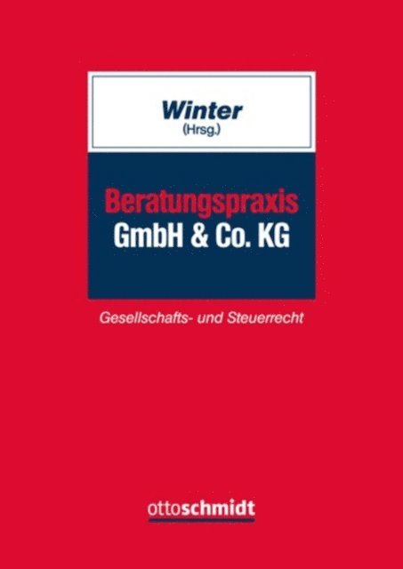 Patricia Sirchich von Kis-Sira, Dirk Schmidtmann, Judith Mehren, Eric Marx, Carsten Lange, Sebastian Holscher, Ulrich Grunwald, Jan Giedinghagen, Ralf Dremel, Holger Dietrich, Christoph Bode, Johannes Baler, Michael Winter - Beratungspraxis GmbH & Co. KG, E-bok