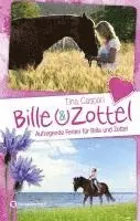 Tina Caspari - Bille und Zottel - Aufregende Ferien für Bille und Zottel, Inbunden. Tillgänglighet: Lägg i varukorg