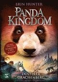 Panda Kingdom - Dsterer Drachenberg