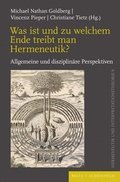 Was Ist Und Zu Welchem Ende Treibt Man Hermeneutik?: Allgemeine Und Disziplinare Perspektiven