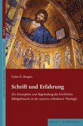 Schrift Und Erfahrung: Die Konzeption Und Begrundung Des Kirchlichen Bibelgebrauchs in Der Neueren Orthodoxen Theologie