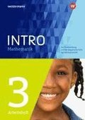 INTRO Mathematik SI. Arbeitsheft 3
