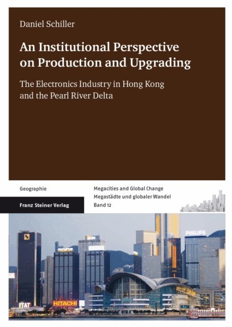 Daniel Schiller - Institutional Perspective on Production and Upgrading, E-bok