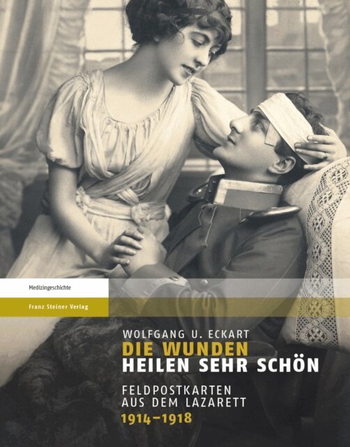 Wolfgang U. Eckart - Die Wunden heilen sehr schon, E-bok