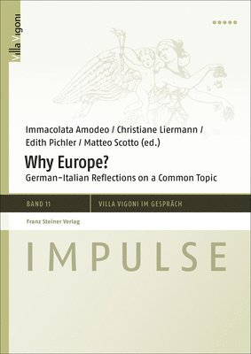 Immacolata Amodeo, Christiane Liermann - Why Europe?: German-Italian Reflections on a Common Topic, Häftad