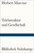 Triebstruktur und Gesellschaft