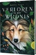Verloren in der Wildnis