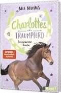 Charlottes Traumpferd 3: Ein unerwarteter Besucher