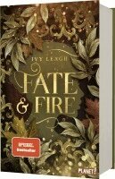 Ivy Leagh - Die Nordlicht-Saga 1: Fate and Fire, Inbunden. Tillgänglighet: Lägg i varukorg