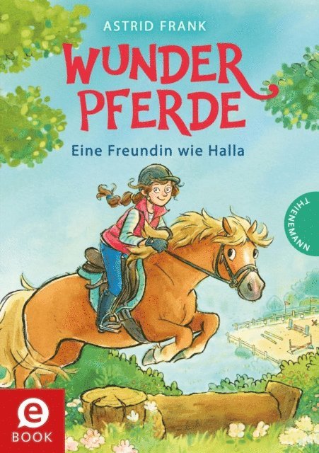 Astrid Frank - Wunderpferde 1: Eine Freundin wie Halla, E-bok