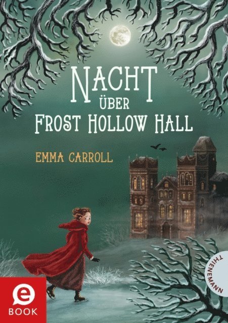 Emma Carroll - Nacht über Frost Hollow Hall, E-bok