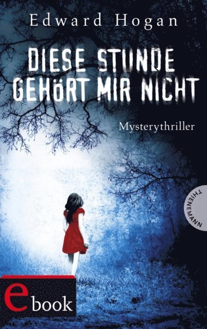 Edward Hogan - Diese Stunde gehört mir nicht, E-bok