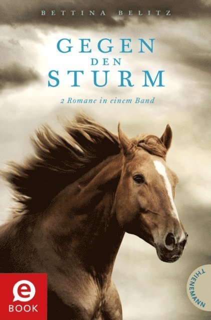 Bettina Belitz - Gegen den Sturm, E-bok