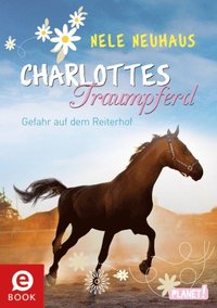 Charlottes Traumpferd 2: Gefahr auf dem Reiterhof