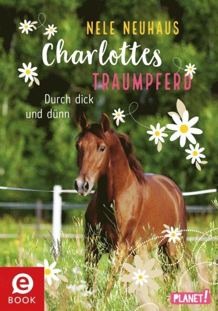 Nele Neuhaus - Charlottes Traumpferd 6: Durch dick und dünn, E-bok