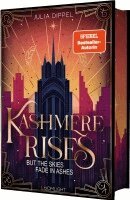 Julia Dippel - Velvet-Dilogie 2: Kashmere Rises, but the Skies fade in Ashes, Inbunden. Tillgänglighet: Lägg i varukorg