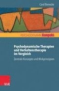 Psychodynamische Therapien Und Verhaltenstherapie Im Vergleich: Zentrale Konzepte Und Wirkprinzipien