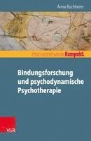 Bindungsforschung Und Psychodynamische Psychotherapie