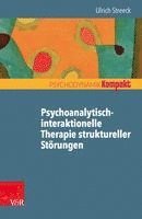 Psychoanalytisch-Interaktionelle Therapie Struktureller Storungen