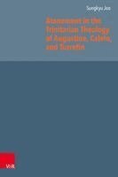 Sungkyu Joo - Atonement in the Trinitarian Theology of Augustine, Calvin, and Turretin, Inbunden
