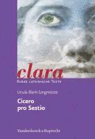 Ursula Blank-Sangmeister - clara., Häftad