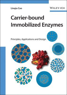 Linqiu Cao, Preface by:Rolf D. Schmid - Carrier-bound Immobilized Enzymes: Principles, Application and Design, Inbunden