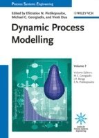 Dynamic Process Modeling, Inbunden. Tillgänglighet: Lägg i varukorg