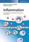 Inflammation, 4 Volume Set