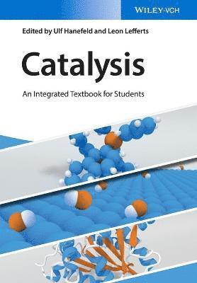Ulf Hanefeld, Ulf Hanefeld, Leon Lefferts - Catalysis, Häftad