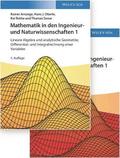 Mathematik in den Ingenieur- und Naturwissenschaften, Lehrbuch plus Aufgaben und Lsungen im Set